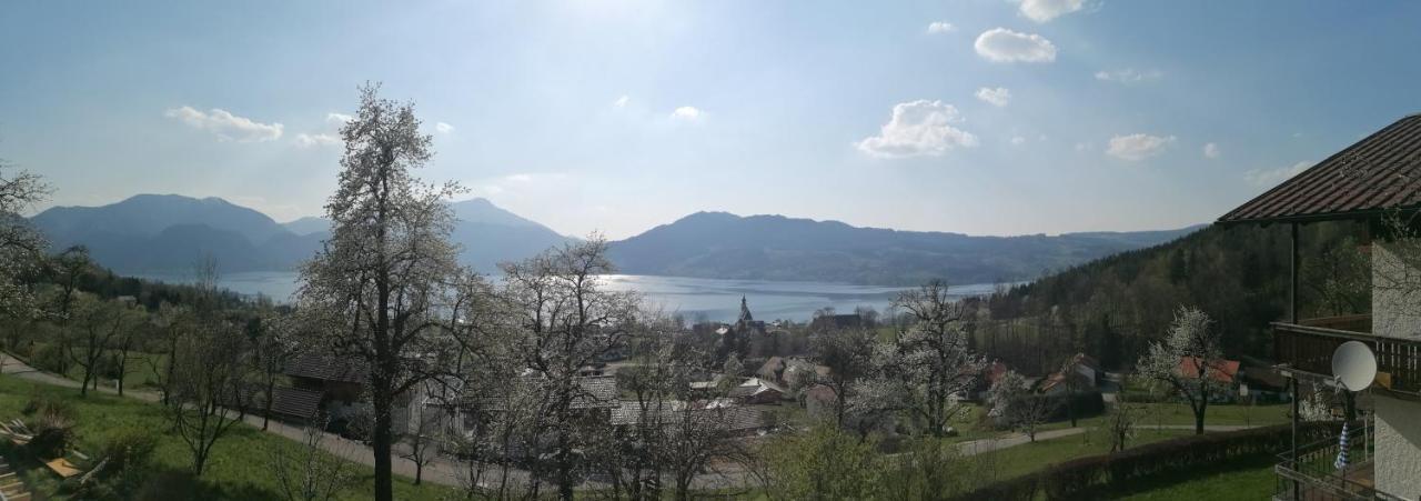 Attersee-Chalet Angermann Familie Spalt Steinbach am Attersee Luaran gambar