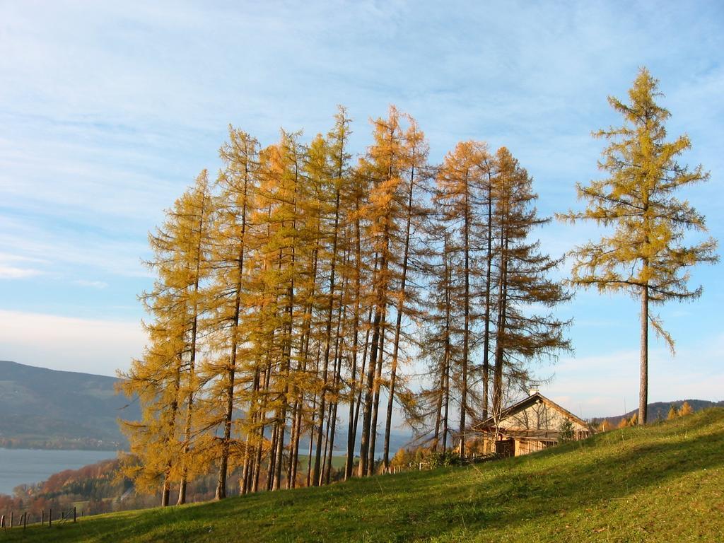 Attersee-Chalet Angermann Familie Spalt Steinbach am Attersee Luaran gambar